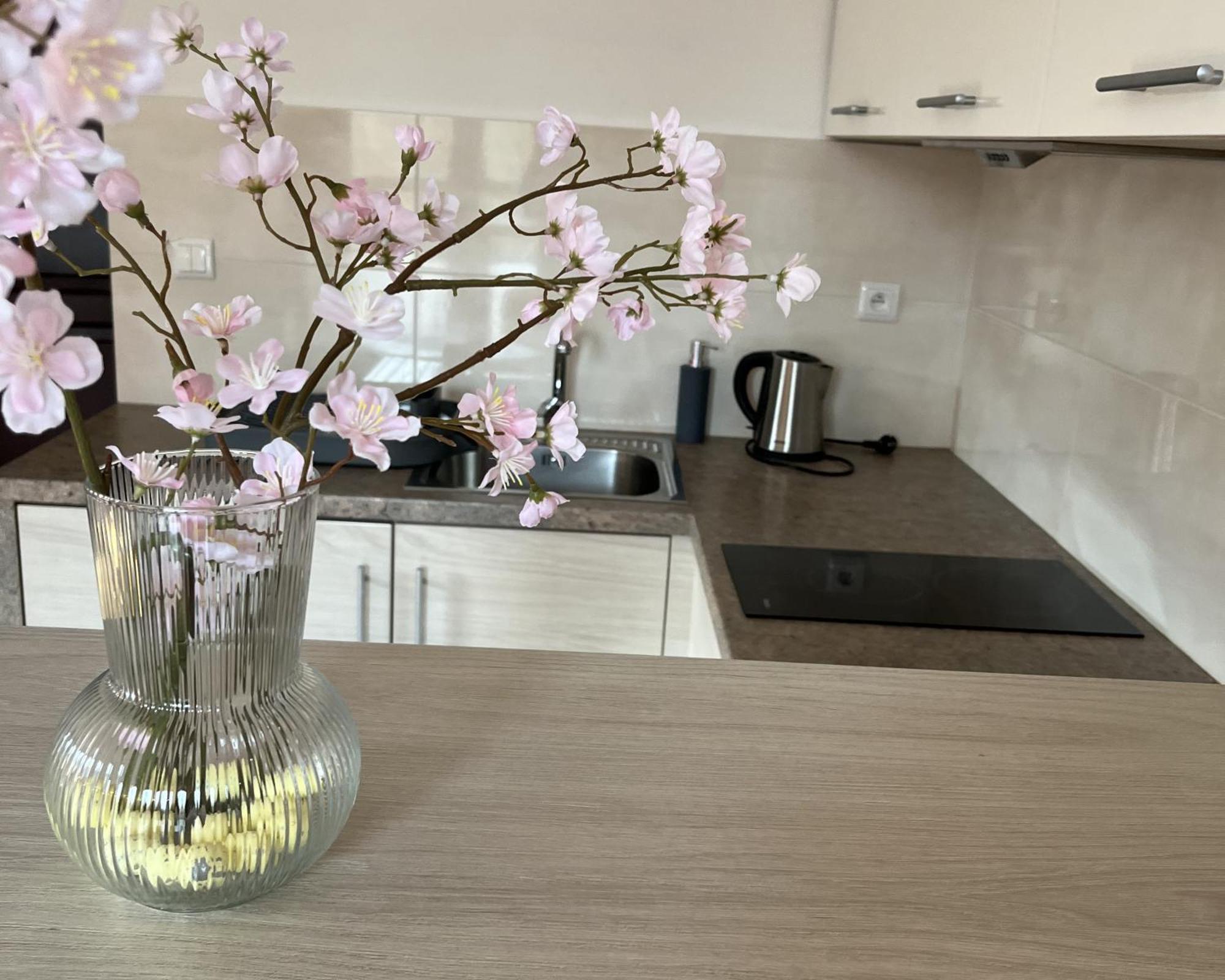 Apartamety I Pokoje Goscinne Na Jaskolczej Свєрадув-Здруй Екстер'єр фото