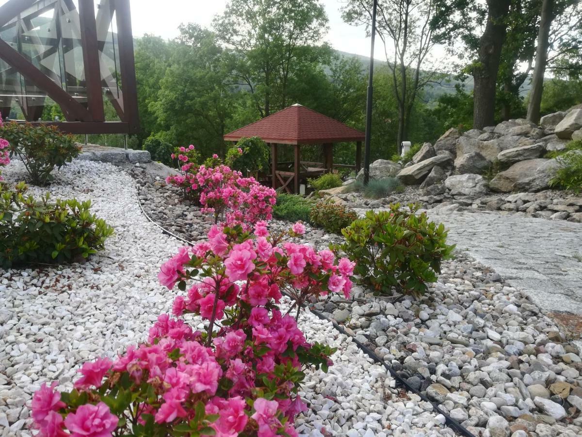 Apartamety I Pokoje Goscinne Na Jaskolczej Свєрадув-Здруй Екстер'єр фото
